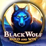 Black Wolf game